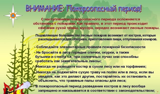 Особый противопожарный режим в лесах !.